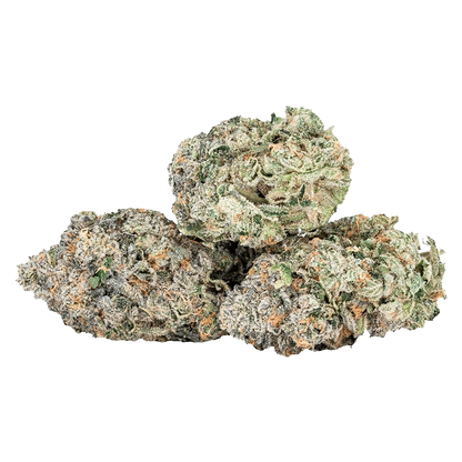 Close-up of three frosty EXPO67 cannabis buds showing green, purple, and orange hairs with dense crystalline trichomes.