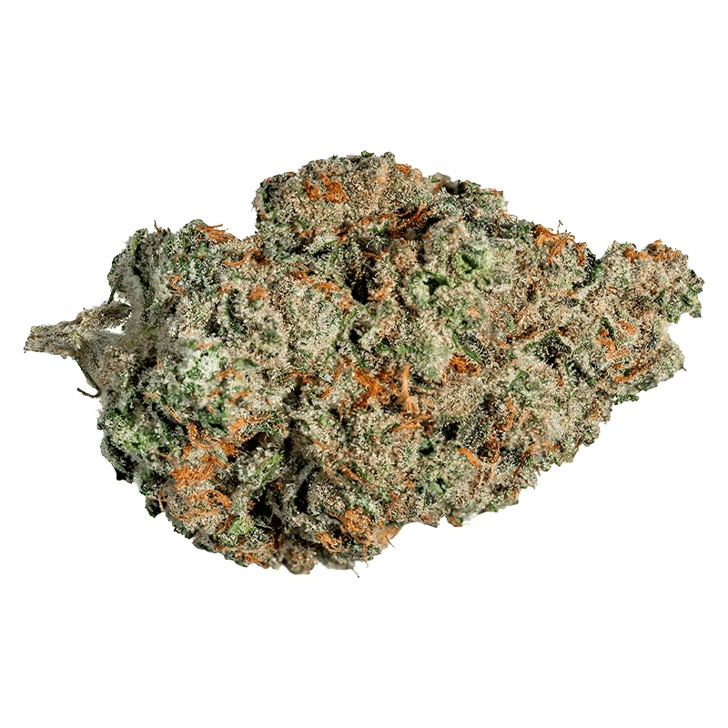 Close-up of a single "Valley Girl" cannabis bud showing frosty trichomes and orange hairs against a neutral background