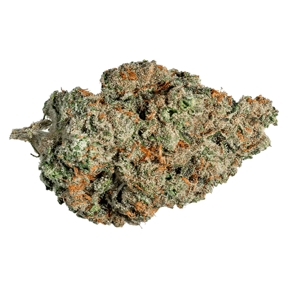 Close-up of a single "Valley Girl" cannabis bud showing frosty trichomes and orange hairs against a neutral background