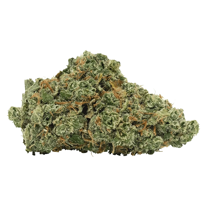 Close-up of a dense, frosty Granddaddy Purple Skunk bud showing green leaves and orange hairs against a neutral background.