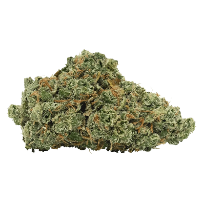 Close-up of a dense, frosty Granddaddy Purple Skunk bud showing green leaves and orange hairs against a neutral background.