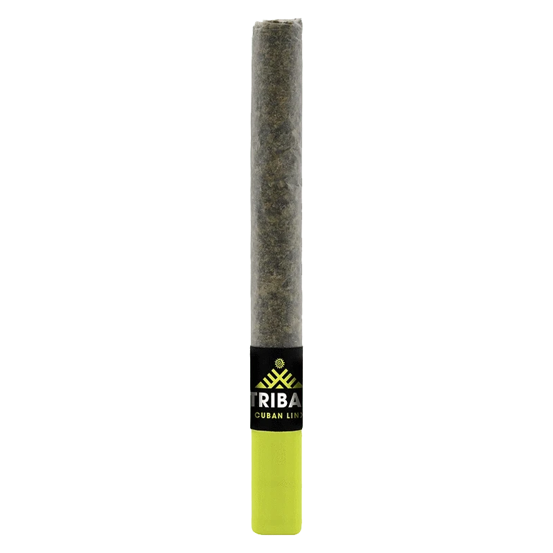 Centered vertical view of the Cuban Linx Ceramic Tip PR 1 x 1 g pre-roll with its black-and-green band and neon green ceramic tip against a white background