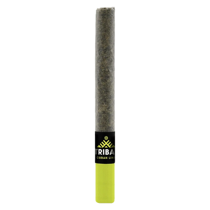 Centered vertical view of the Cuban Linx Ceramic Tip PR 1 x 1 g pre-roll with its black-and-green band and neon green ceramic tip against a white background