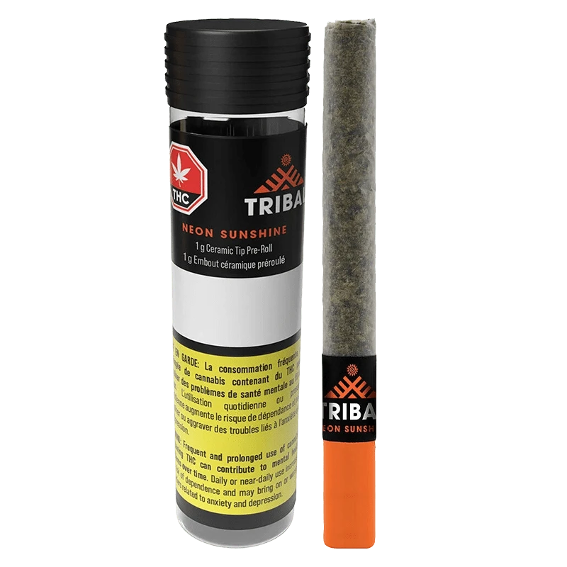 Front view of the Neon Sunshine Ceramic Tip PR 1 x 1 g showing the labeled black tube with warning text beside the rolled joint with an orange ceramic tip.
