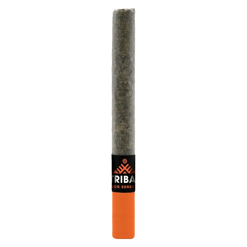 Vertical front view of the Neon Sunshine Ceramic Tip PR 1 x 1 g pre-roll with an orange ceramic tip and black branded band.