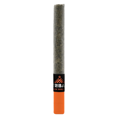 Vertical front view of the Neon Sunshine Ceramic Tip PR 1 x 1 g pre-roll with an orange ceramic tip and black branded band.