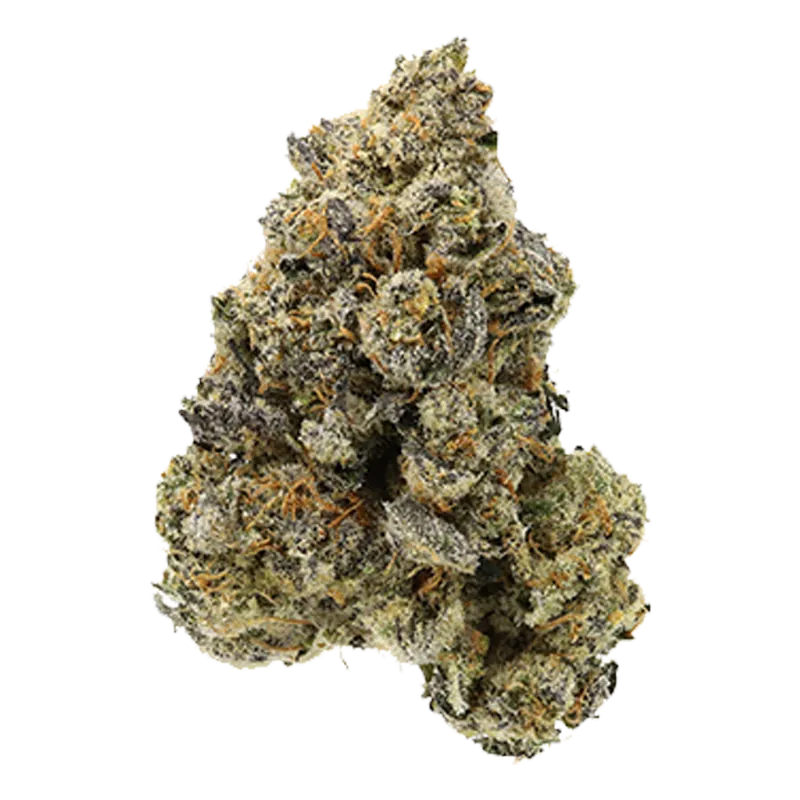 Close-up front view of the dense "Fade To Black" bud showing frosty trichomes and orange hairs against a white background