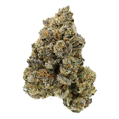 Close-up front view of the dense "Fade To Black" bud showing frosty trichomes and orange hairs against a white background