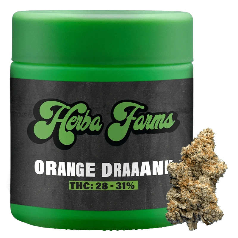 Front-facing shot of a green Herba Farms Orange Draaaank container with its label visible and a cannabis bud positioned at the lower right.
