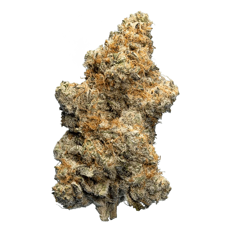 Close-up front view of a single dense bud labeled Orange Draaaank showing frosty trichomes and orange pistils against a neutral background