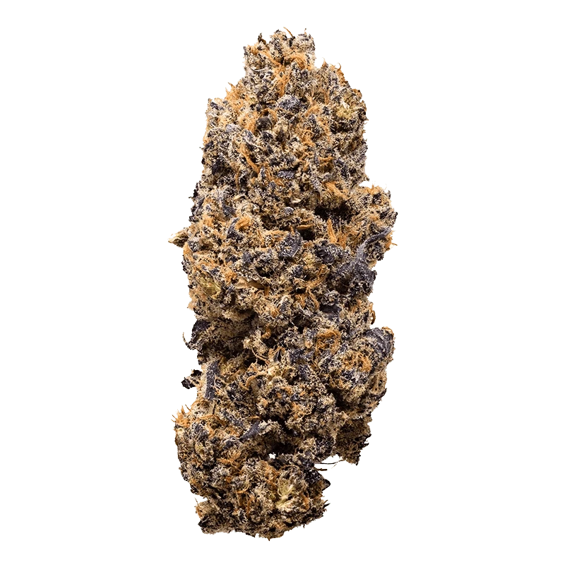 Single close-up of a dense, frosty Lemon Whips cannabis bud showing purple hues and orange pistils against a plain background