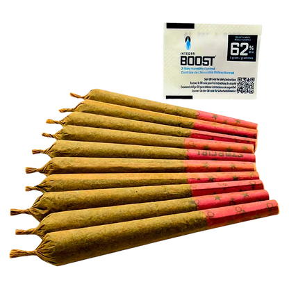 Angled close-up of a fanned row of brown pre-rolled cones with red star-patterned tips and a white pack behind them, labeled Stargals PR 10 x 1 g