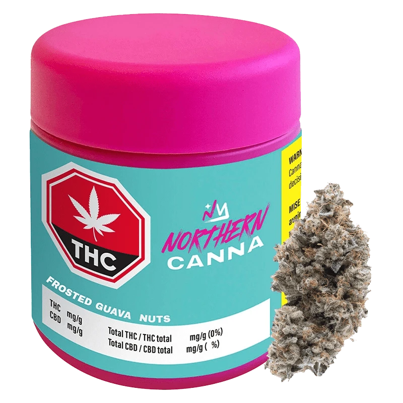 Front three-quarter view of a bright turquoise jar with a pink lid labeled Northern Canna Frosted Guava Nuts next to a frosty cannabis bud.