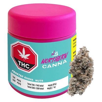 Front three-quarter view of a bright turquoise jar with a pink lid labeled Northern Canna Frosted Guava Nuts next to a frosty cannabis bud.