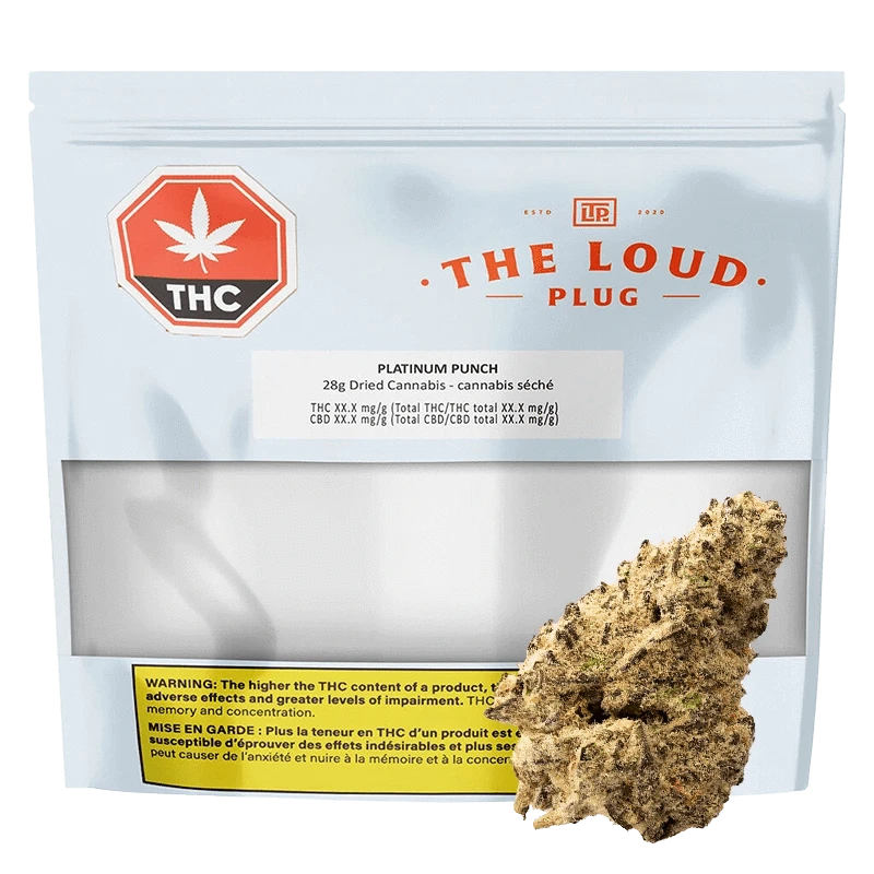 Front-facing shot of The Loud Plug Platinum Punch 28 g resealable pouch with a clear window and a cannabis bud overlapping the lower right.