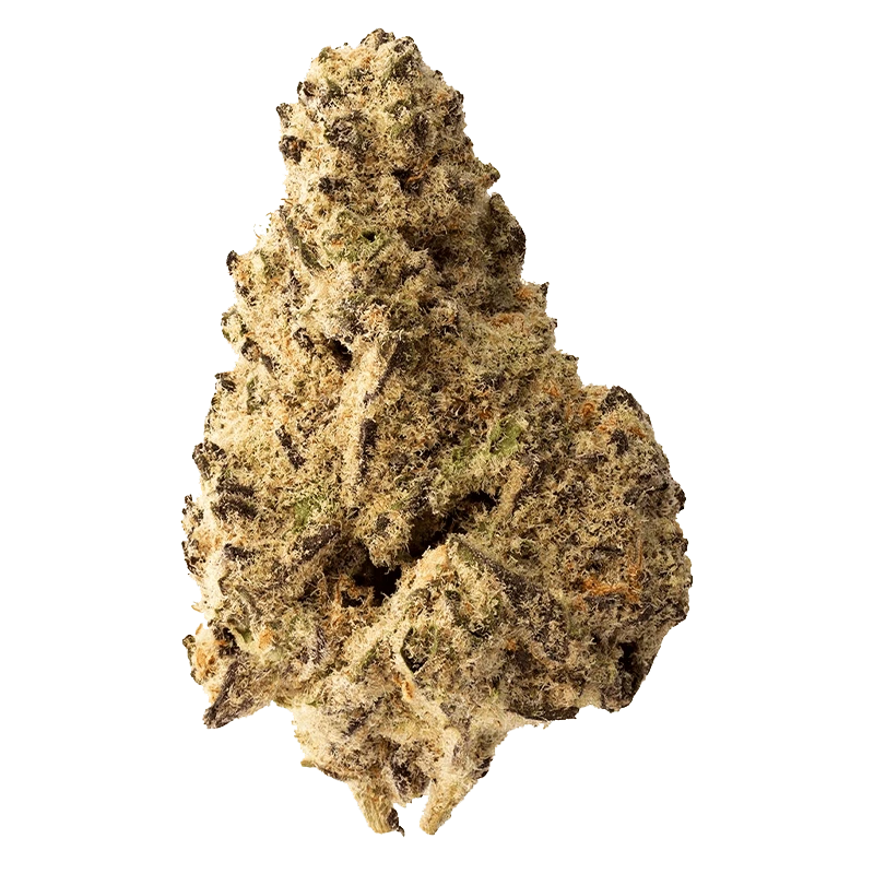 Top-down close-up of a dense, frosty nugget of Platinum Punch showing pale green buds, amber hairs, and dark purple flecks.