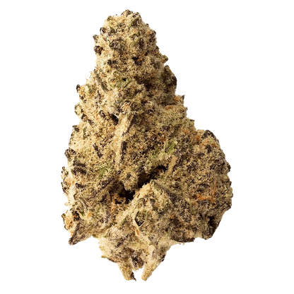 Top-down close-up of a dense, frosty nugget of Platinum Punch showing pale green buds, amber hairs, and dark purple flecks.