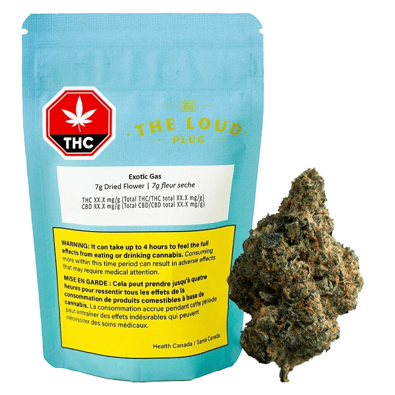 Front-facing shot of the turquoise pouch and adjacent bud for Exotic Gas, the 7 g pouch labeled "THE LOUD PLUG" with warning panels.