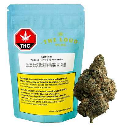 Front-facing shot of the turquoise pouch and adjacent bud for Exotic Gas, the 7 g pouch labeled "THE LOUD PLUG" with warning panels.