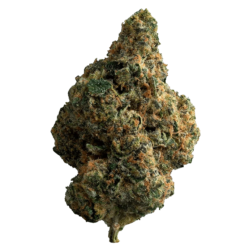 Close-up front view of a single dense bud of Exotic Gas, showing green and orange trichome-coated leaves against a transparent background.