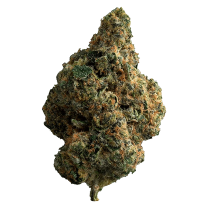 Close-up front view of a single dense bud of Exotic Gas, showing green and orange trichome-coated leaves against a transparent background.
