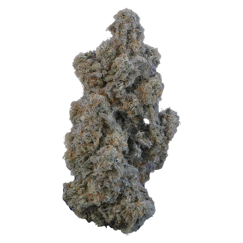 Volo 14 g Marshmallow Milk Flower