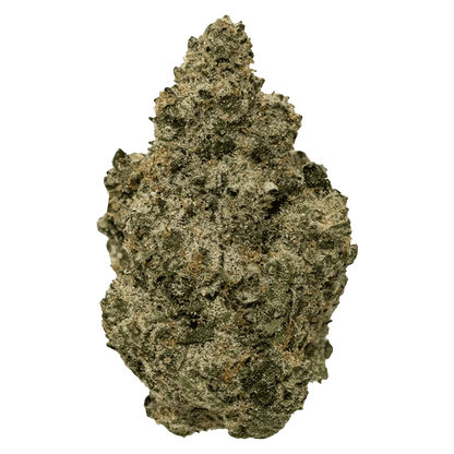 Close-up front view of a single BC Organic Black Zoap bud showing dense, frosty trichomes and muted green and amber hues.