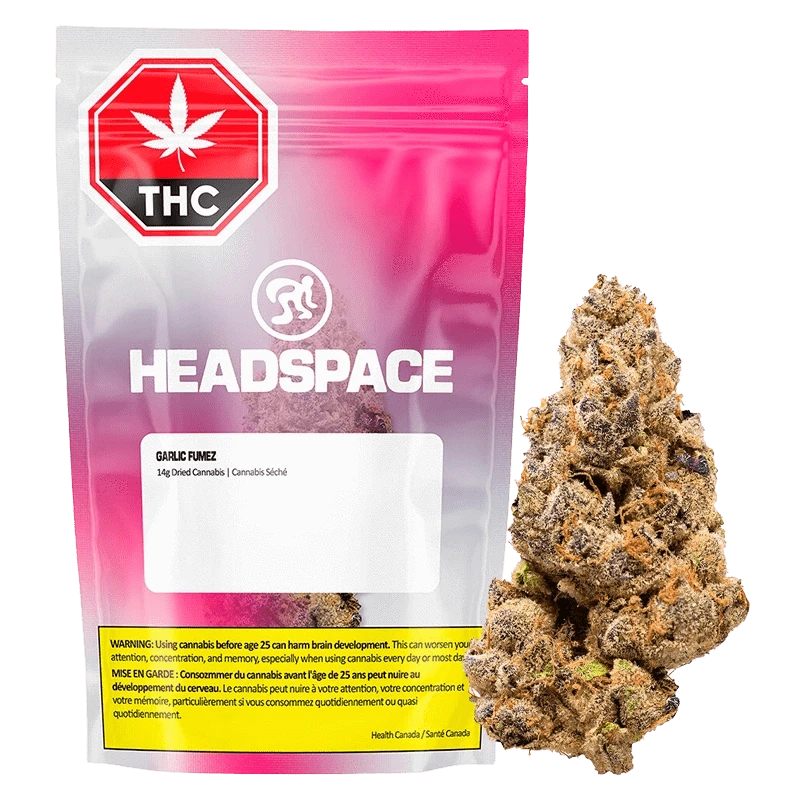Front-facing shot of the Headspace Garlic Fumez 14 g pink gradient pouch with a dried cannabis bud displayed to its right.
