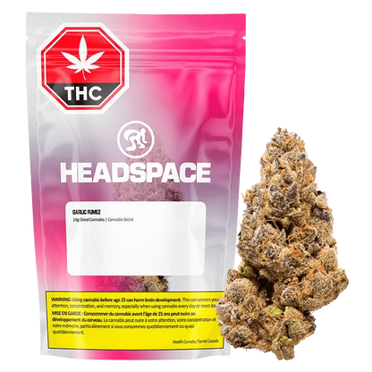 Front-facing shot of the Headspace Garlic Fumez 14 g pink gradient pouch with a dried cannabis bud displayed to its right.