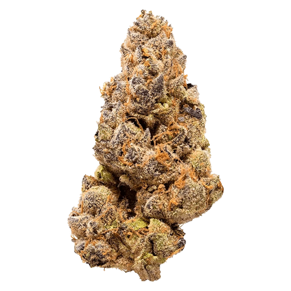 Close-up front view of a frosty, purple-tinged bud of Garlic Fumez showing dense trichomes and rust-orange pistils.