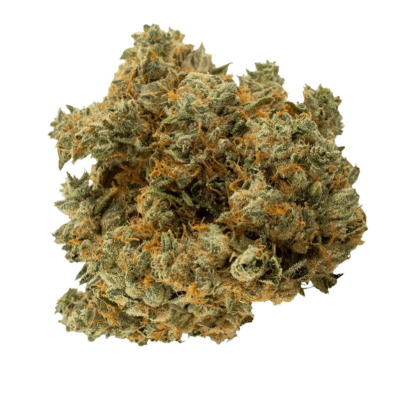 Close-up of a dense, frosty bud of Black Triangle Kush showing green leaves, amber pistils, and trichome-covered texture.