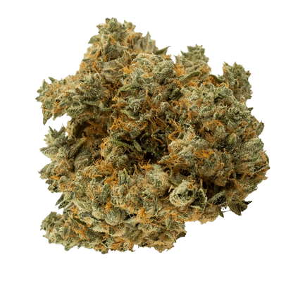 Close-up of a dense, frosty bud of Black Triangle Kush showing green leaves, amber pistils, and trichome-covered texture.