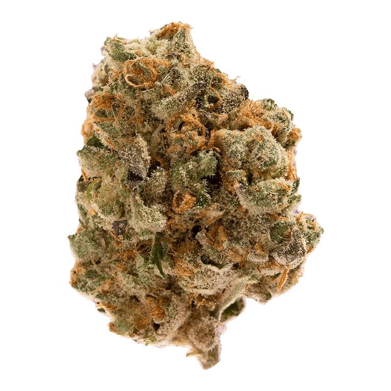Close-up top-down view of a single frosty "Sky Burst Haze" cannabis bud showing dense green nugs, orange pistils, and a crystalline trichome coating