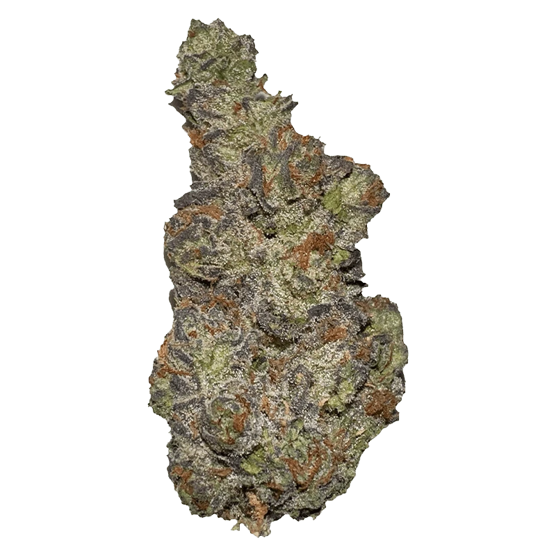 Top-down close-up of a single dense "Queen of Tartz" cannabis bud showing frosty trichomes, purple leaves, and orange pistils.