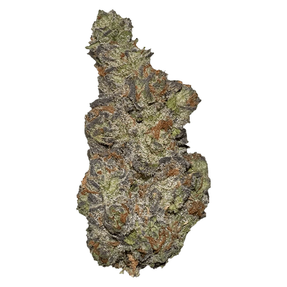 Top-down close-up of a single dense "Queen of Tartz" cannabis bud showing frosty trichomes, purple leaves, and orange pistils.