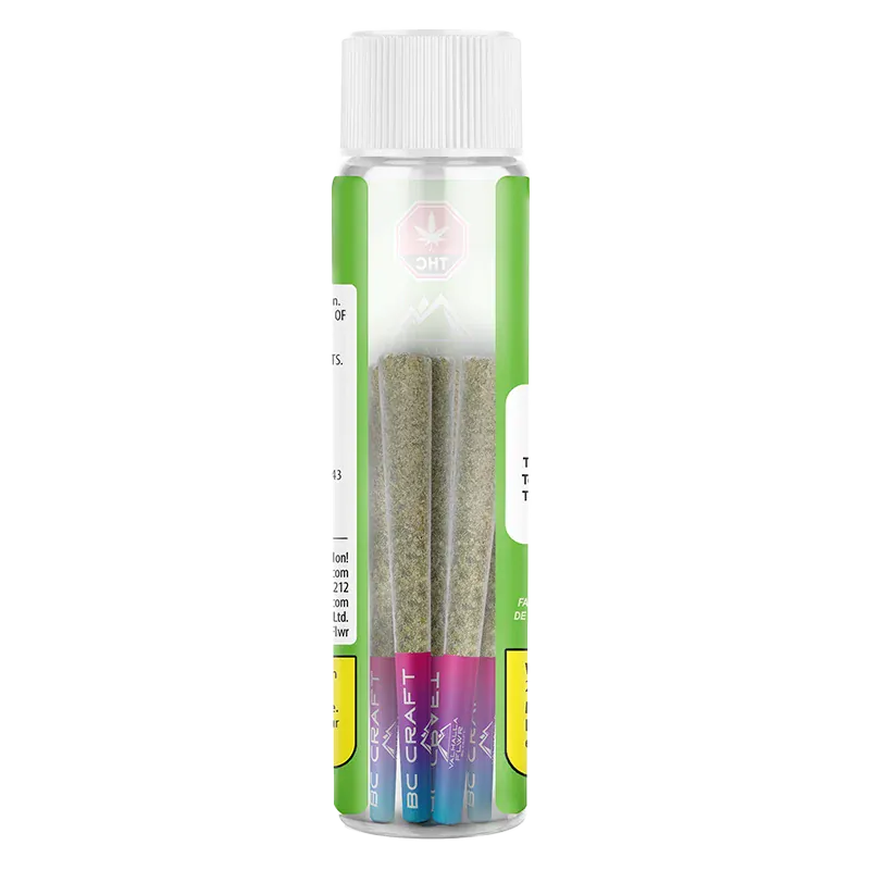 Straight-on view of a clear tube holding three pre-rolls labeled "Crenshaw Melon PR 3 x 0.5 g" with colorful magenta-to-blue tips against a white background