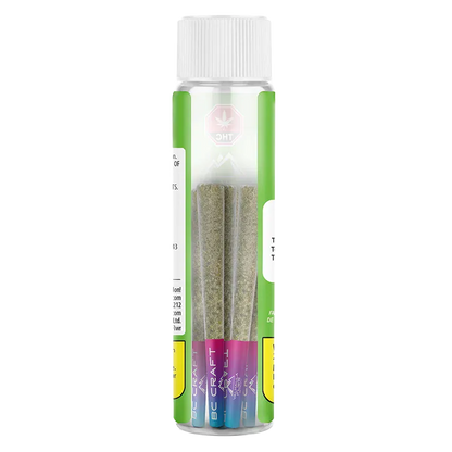 Straight-on view of a clear tube holding three pre-rolls labeled "Crenshaw Melon PR 3 x 0.5 g" with colorful magenta-to-blue tips against a white background