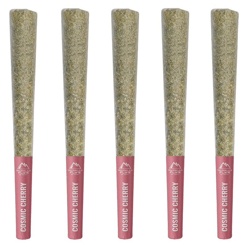 Five upright Cosmic Cherry PR 5 x 0.5 g pre-rolls in a row, close-up front view showing green herb tips and pink labeled bases.