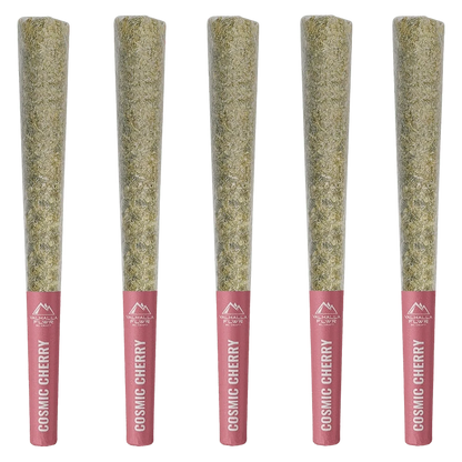 Five upright Cosmic Cherry PR 5 x 0.5 g pre-rolls in a row, close-up front view showing green herb tips and pink labeled bases.