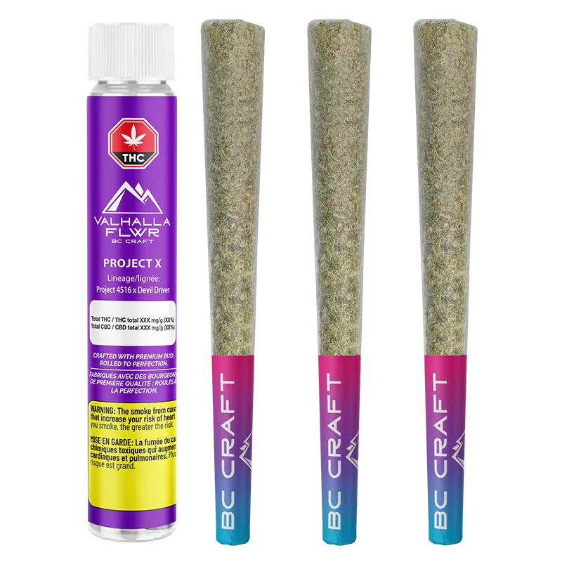 Left-facing shot of a purple tube and three cone-shaped pre-rolls standing upright labeled Project X PR 3 x 0.5 g.