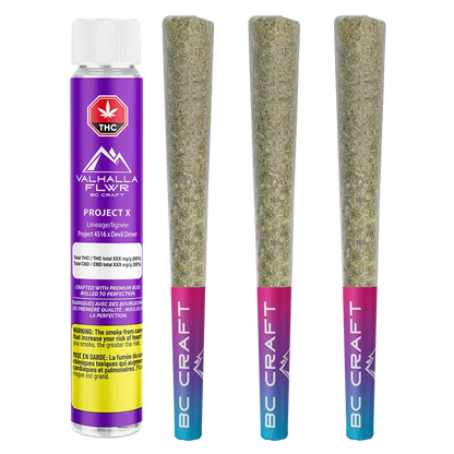 Left-facing shot of a purple tube and three cone-shaped pre-rolls standing upright labeled Project X PR 3 x 0.5 g.