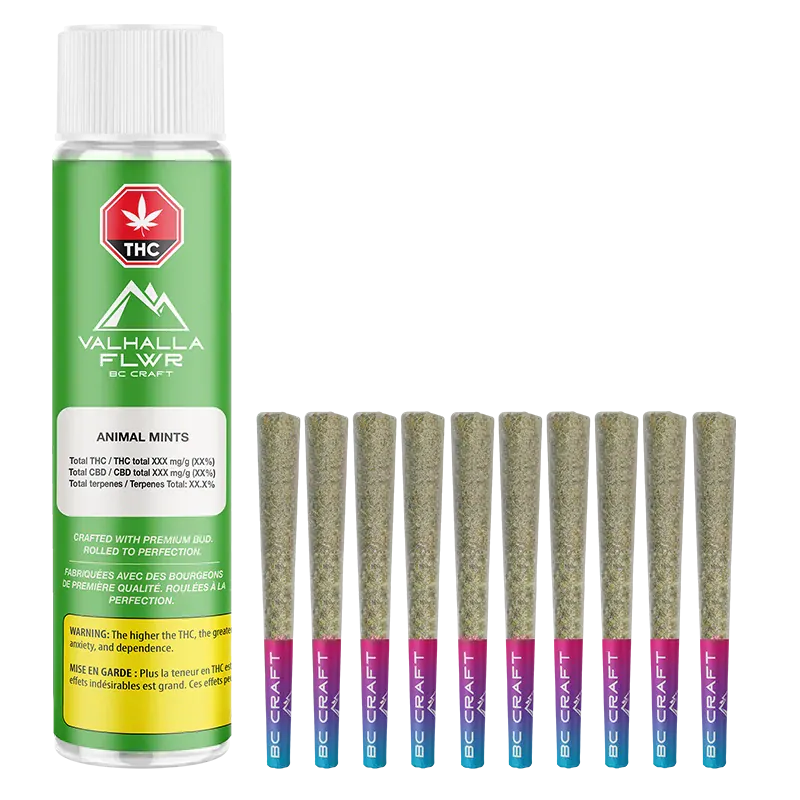 Front view of a green canister and a row of ten visible pre-rolls, featuring the label Animal Mints PR 10 x 0.5 g.