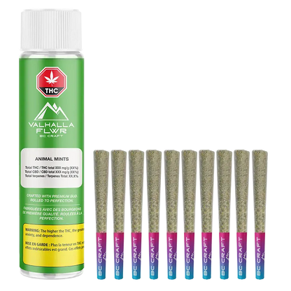 Front view of a green canister and a row of ten visible pre-rolls, featuring the label Animal Mints PR 10 x 0.5 g.