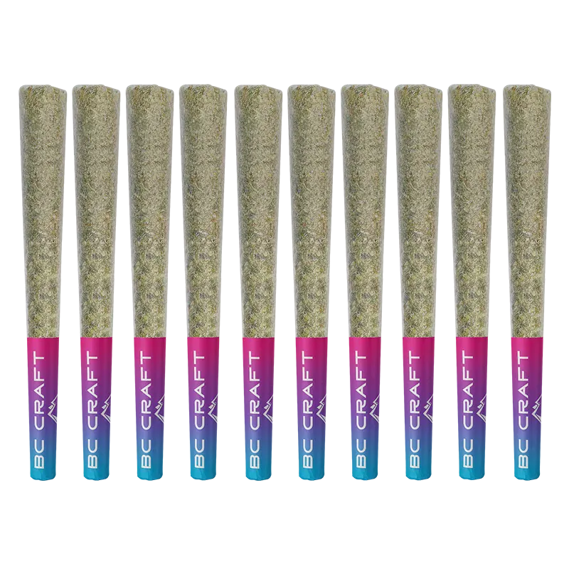 Row of ten pre-rolled joints with pink-to-blue BC CRAFT filters, front view of the Animal Mints PR 10 x 0.5 g neatly aligned on white.