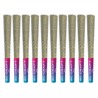 Row of ten pre-rolled joints with pink-to-blue BC CRAFT filters, front view of the Animal Mints PR 10 x 0.5 g neatly aligned on white.