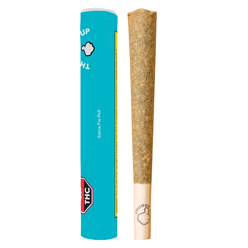 Straight-on view of a rolled joint next to its turquoise tube packaging, labeled "Sativa PR 1 x 2 g", against a plain background.