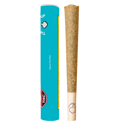 Straight-on view of a rolled joint next to its turquoise tube packaging, labeled "Sativa PR 1 x 2 g", against a plain background.