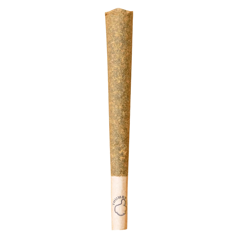 Straight-on view of a pre-rolled cone labeled "Sativa PR 1 x 2 g" with a visible thumb-print logo on the paper tip.