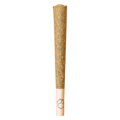 Straight-on view of a pre-rolled cone labeled "Sativa PR 1 x 2 g" with a visible thumb-print logo on the paper tip.