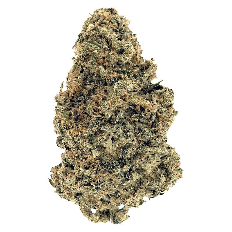 Top-down close-up of a dense bud of Premium Smalls against a plain light background, showing frosty trichomes and orange pistils.
